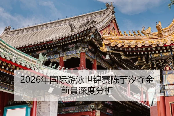 nian-guo-ji-you-yong-shi-jin-sai-chen-yu-xi-duo-jin-qian-jing-shen-du-fen-xi-2-858.jpg